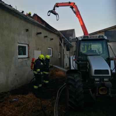 20250404 B3 Eichhorn