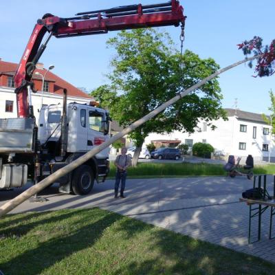 2024 04 30 Maibaum aufstellen 2024